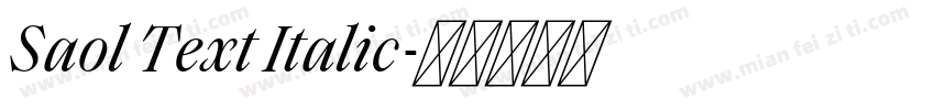 Saol Text Italic字体转换